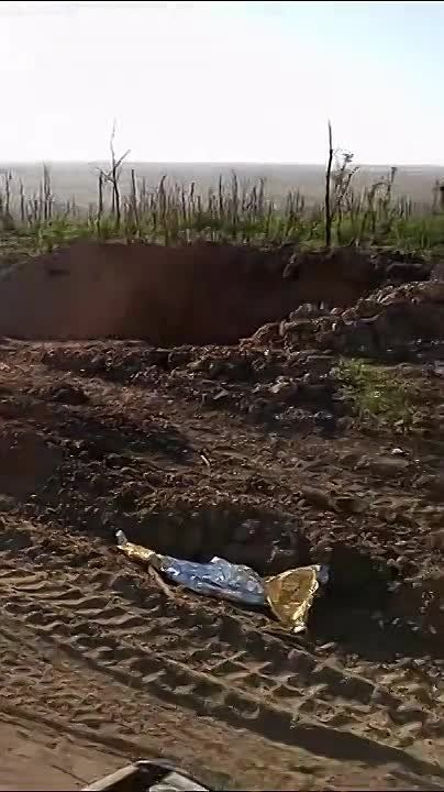 ����� ������������ ������� ���� �� ������� �����