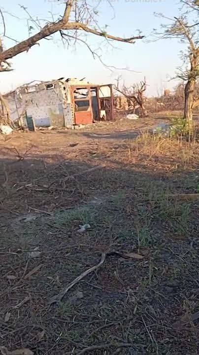 ������ �������: �������� � ��������� ������������ ��� M2A2 Bradley ���������� ������������ � �.�. �������� �� ����������� �����������