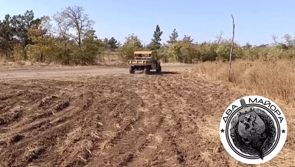 ��� ������: ����������� �����, ������� �������