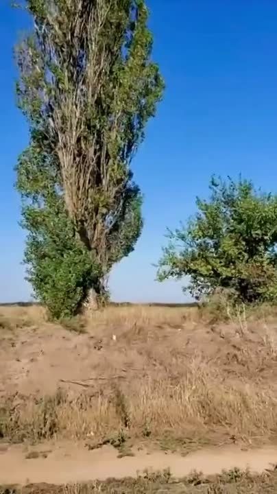 ����������� �����. ��� ������� ��� ����� | ��� ��� | ��� ��� #����������� #��������������������� #��������� #������