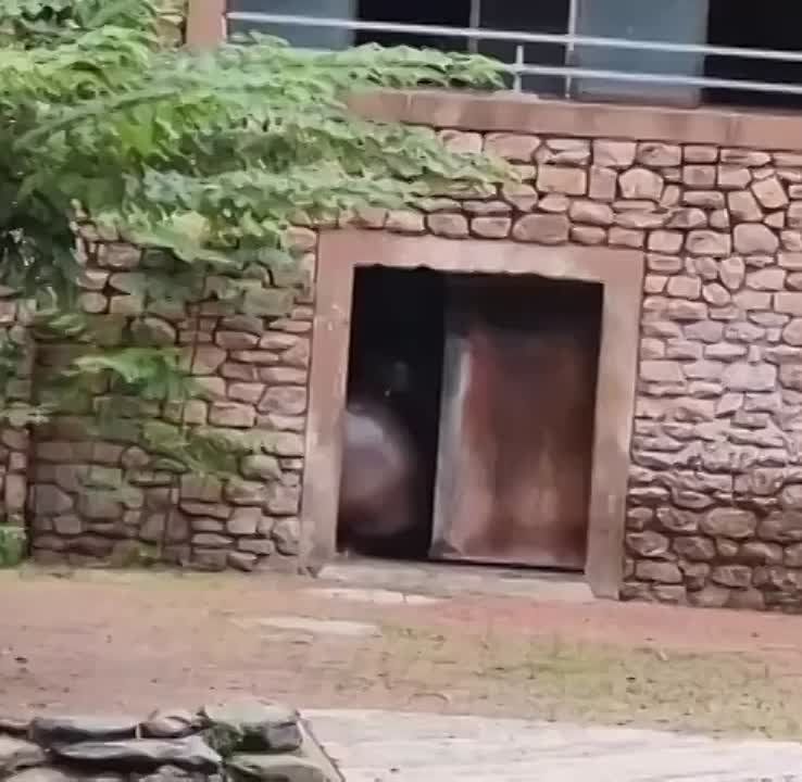 ����� �������� ��������� ���� ������