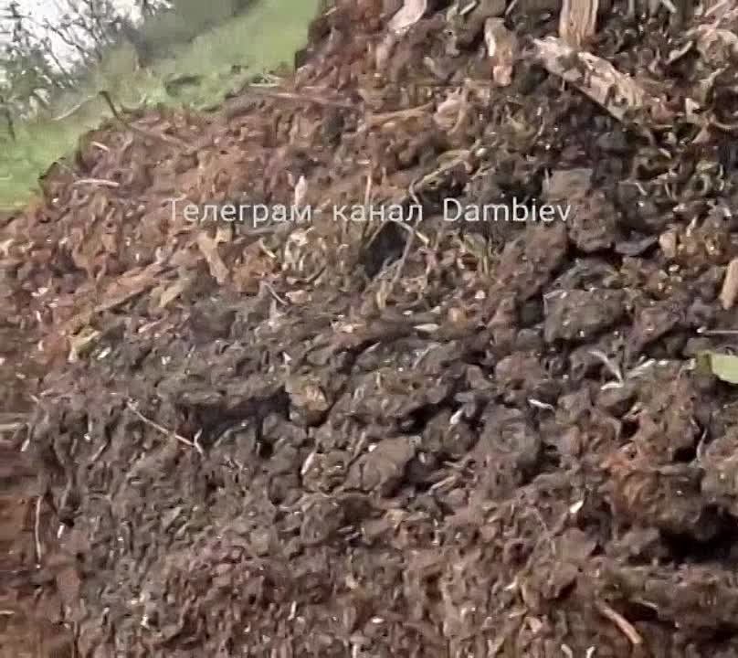 ������ �������: "����� ���� �� � ���� ������ ����"