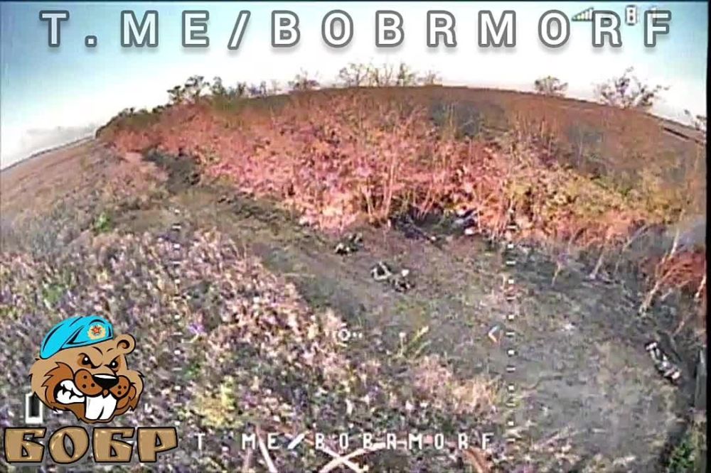 ����� �����: �������� ����� � ������������ ������� ��� ����������� FPV-������ ������������� ������� �� ����������� �����������