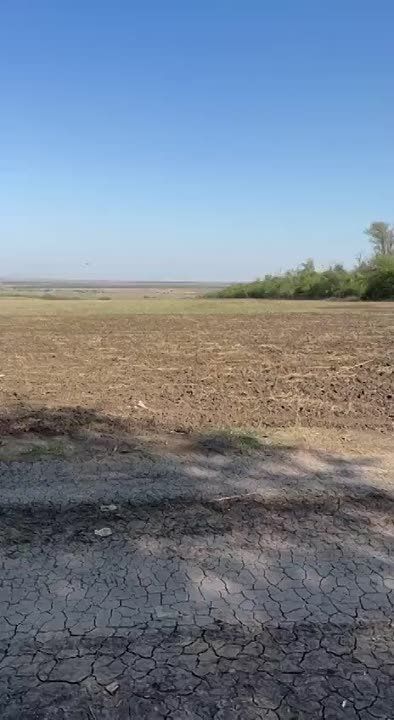 ������ �������: ��� ���������� ��-25 ��� ������ �������� ������ � ������������ �� �������� ���������� ������������ �� ����������� �����������