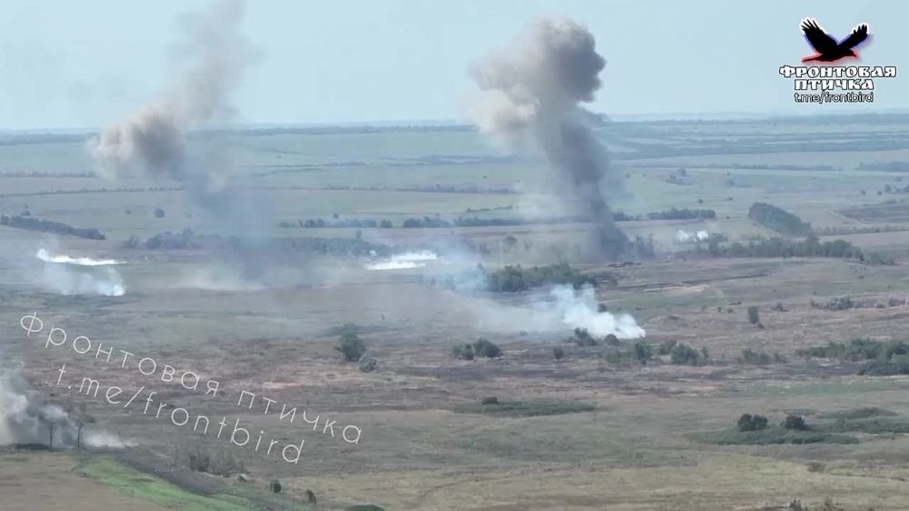 ����� �����: ����������� �����������. ��������. 01.10. ����� ����������� ������������ � ��������� ��������� �������, ���������� ������������ ���������� ���� ������� ����� ������ ���