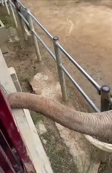 #����������. � ��������� �������� ������ ������ ������� � ������� � ������ ���������