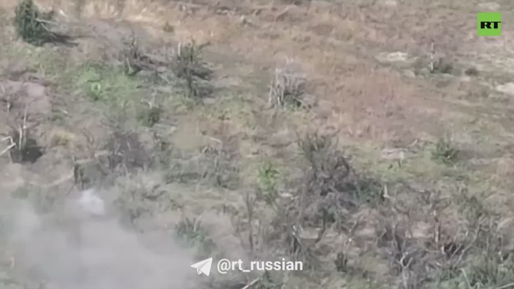 ������ ����� ���������� � ����� �������� ���������� ������� ������ �� �������