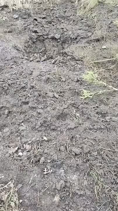 ������ �������: ��� ���� ������������ �� ����������� ����������� ���������� ���-4� "�������"