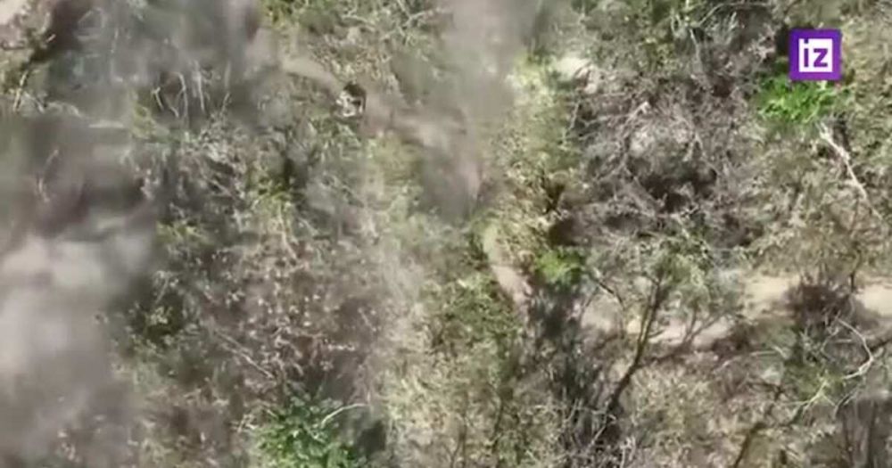 ���������� �� �������� ����� ����������� �������� ��� � ����������� �������