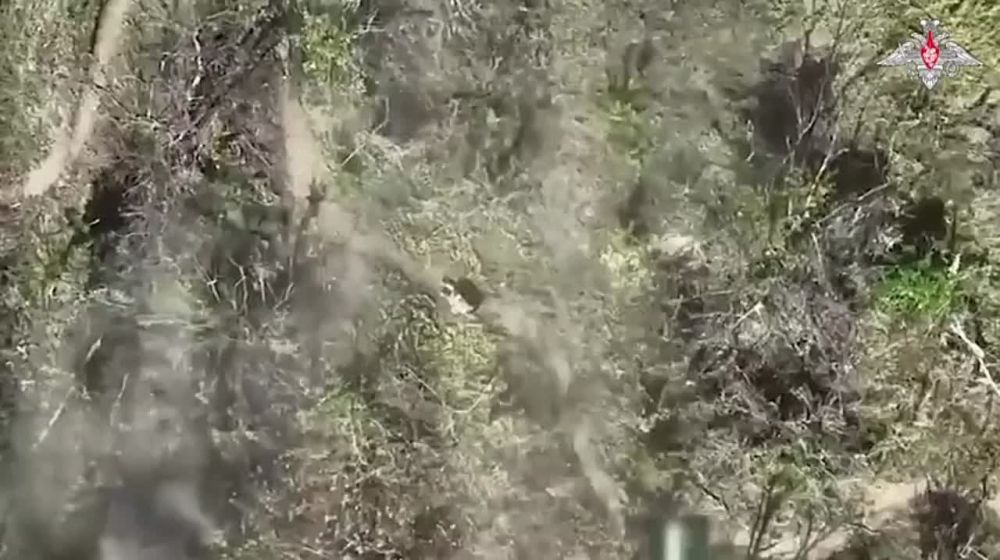 ����� ���������� �������� ��� � ����������� �������