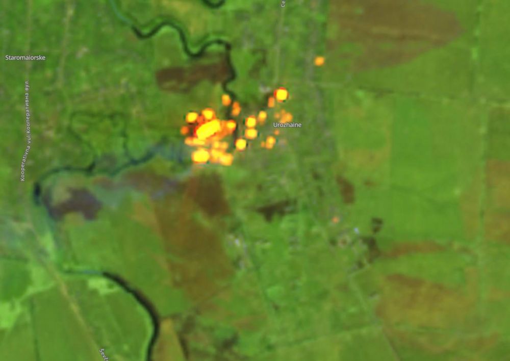 ����� �����: ��� �������� ��������� ����� ��� ��������� �� ����������� �����������