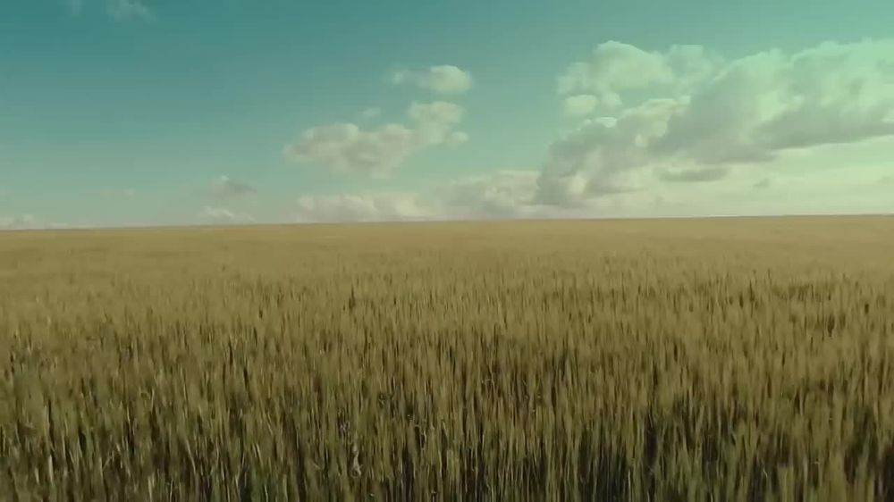 SHAMAN c��� ������ ������ 2023 ����