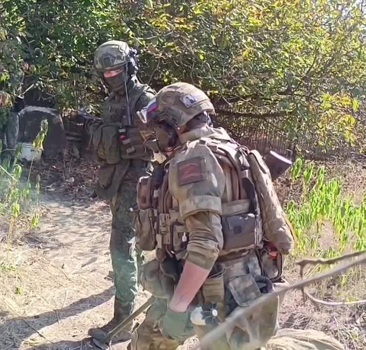 ���������, ������������ �����, ����������� �������, ������