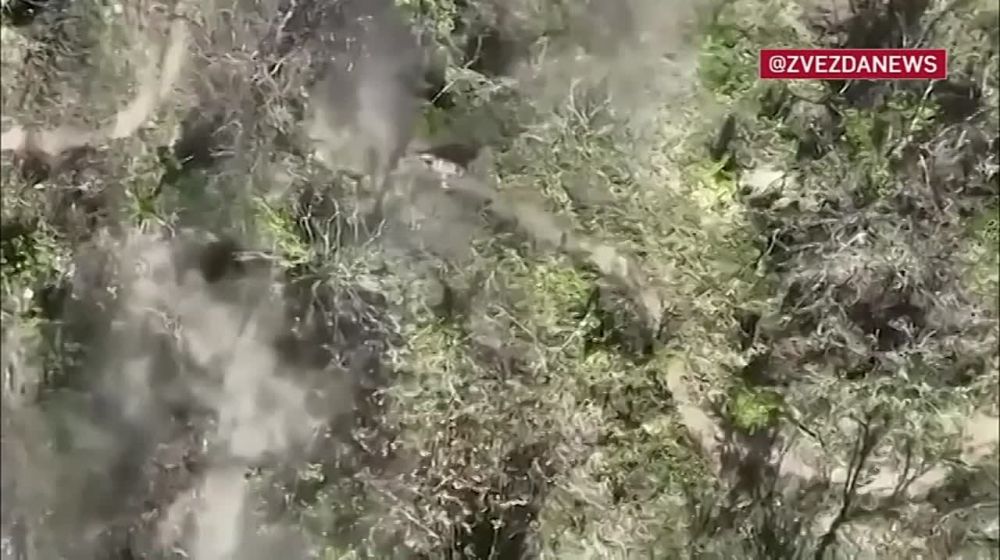 ����� ����������� �������� ��� � ����������� �������