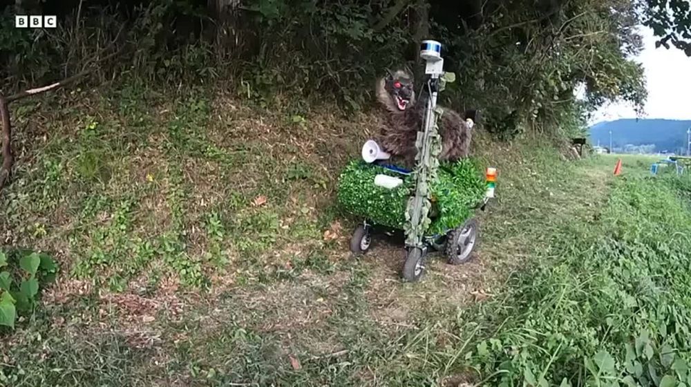 � ������ ������-����� �������� ������ �� ��������