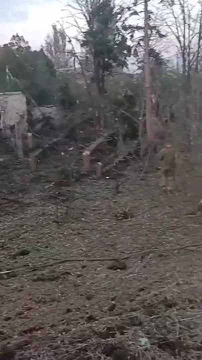 �� �� ������� ���� ������ ������������ ����������� �� ������ ���������� ��� "�������" ���, ������������� � �.�. ����������-��������