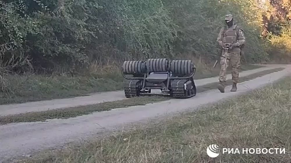 ���������� ������ ���������� ������������� ����������� ���������� ������������