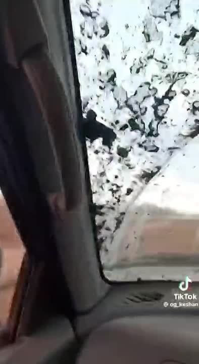 ��������� ���������� ����������� � ���� � ��� �� ����������� �����������