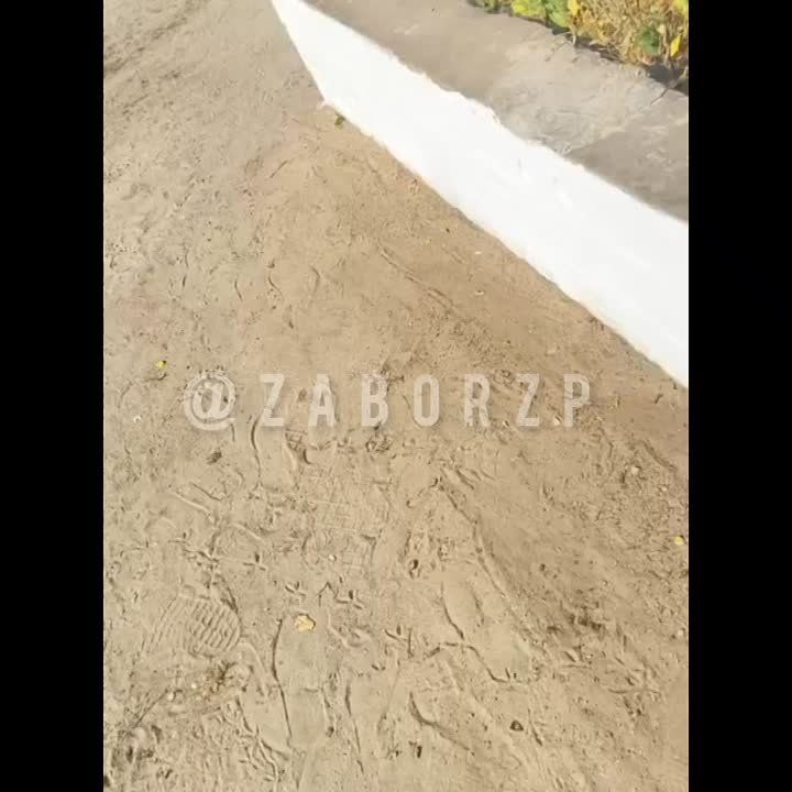 ��� �������� ������� �� �������� �������������� �������� ������� ������ ���������, ������� ��������� ������� ������