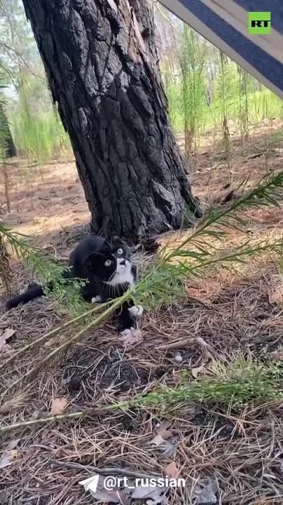 �������� ���� ������� �������� �� �������� ����� ������ �� ����������� ������