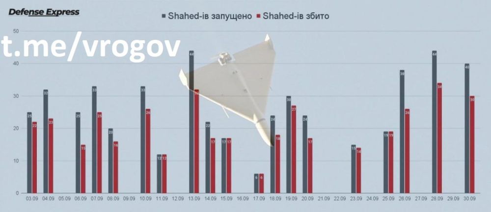 �������� �����: 503 ������� �������� �� �������������� ������������ � ��������