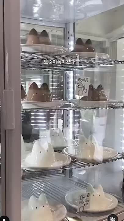 ������ ��� ������������ ����, ������� ����� ������� ��������