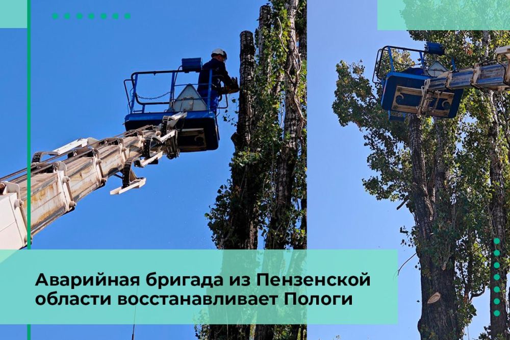 Шефы из Пензы помогают благоустраивать город Пологи