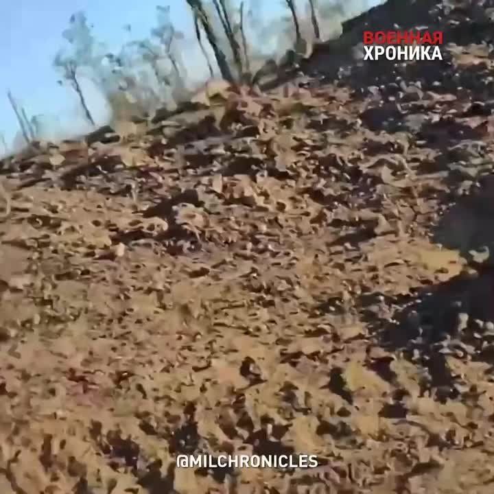 ��� ����� ������� ������� ������� � ������ ���� �������� ��-�� �������� ������� � ��������: ������ ������� �������