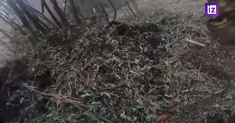 ��������� ����� ��� ���������� ������� ����� ��� ����� ��������