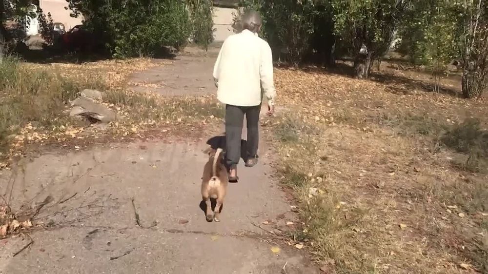 ��� ������� ������� ������ �������, ��� ������ ������ �������� ������� � ������ ��������� �� ���������� ������ ������� ����� ��� �����