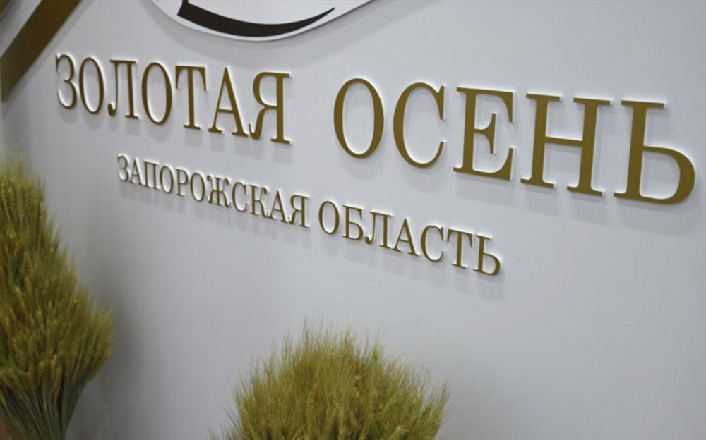 Перерабатывающие предприятия Запорожской области полностью обеспечивают потребность региона в хлебной, мясной и молочной продукции