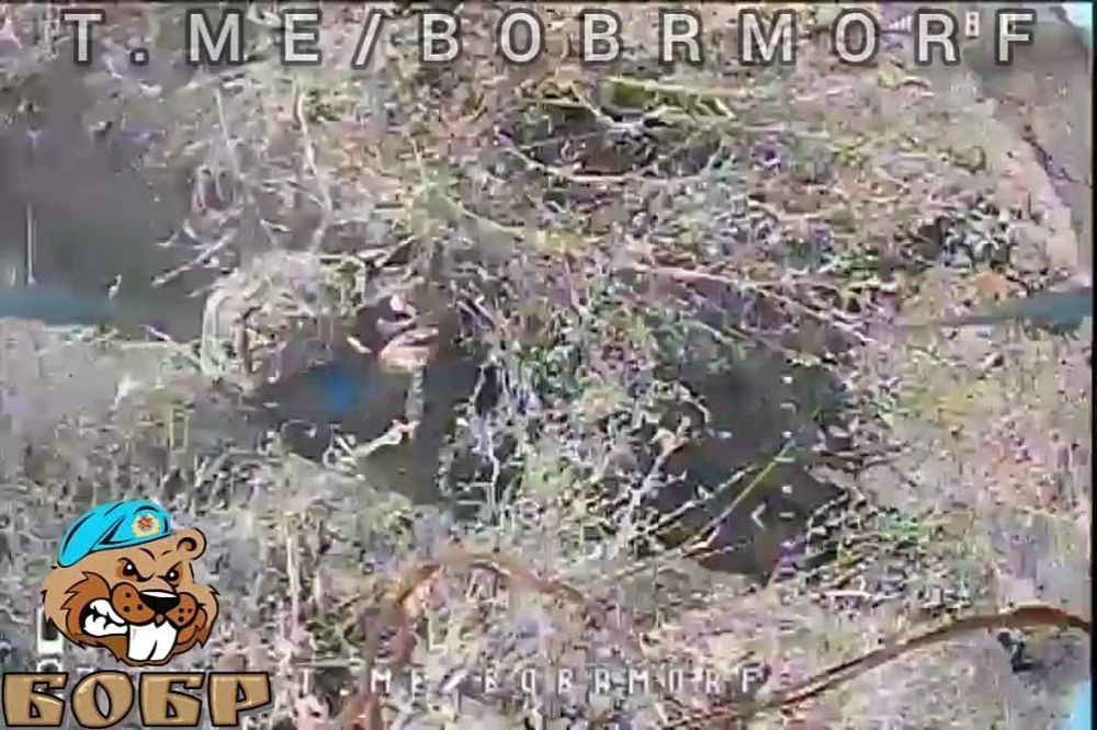 ����� �����: ����� �������� ������ ��������� ������� ������� � �������������� ��� � ������� FPV-������ �� ����������� �����������