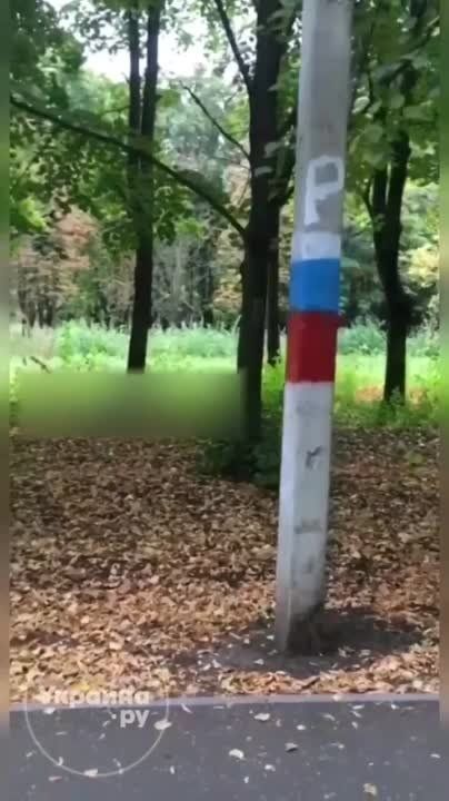 � �������� ���������� �������� �����������, ������� �������� ���������� ��� ������ � �����