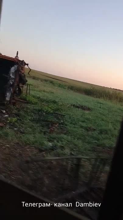 ������ �������: ��� ���� ������������ �� ����������� ����������� ������� ������������ ���������� ������������ � �������: ����������������� M113 ������������� ������������ � ���� ���-4�