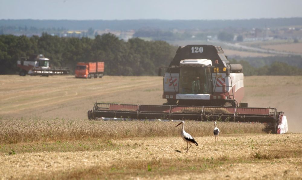 Русские власти предоставят Запорожской области всю необходимую поддержку для развития, в том числе в агропромышленном комплексе
