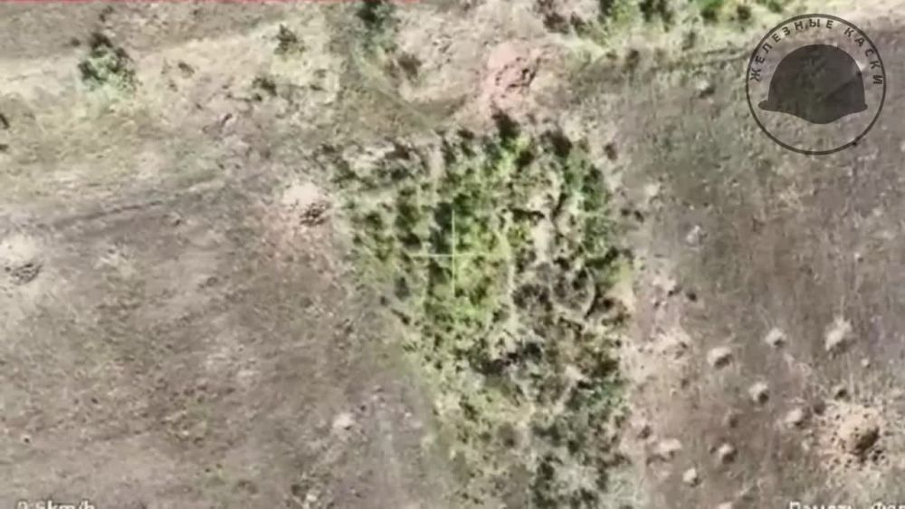 ��������� ���� 177 ���� ���������� ������� ������� ��� �� ��������� �����������