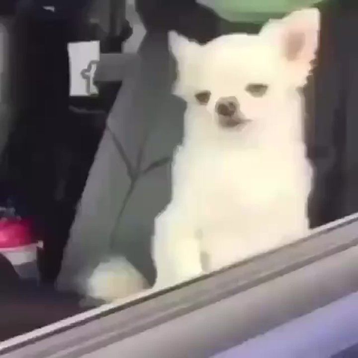 � ������ �����, ��������!. �������������� ��