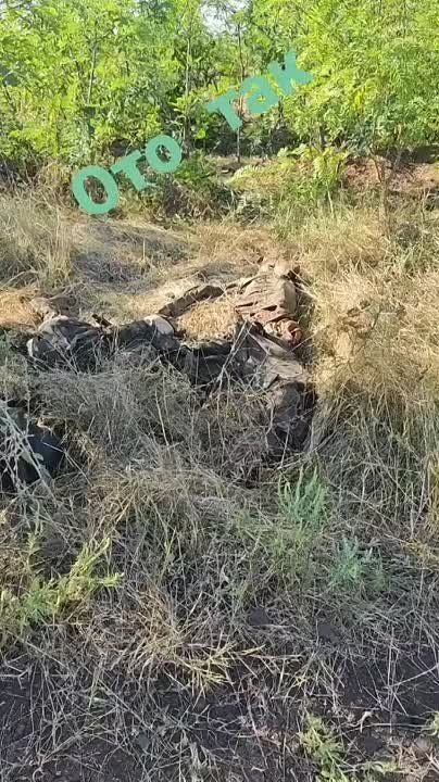 ������ �������: �� ����, ����. � ����� ������������ ��������� �������� �������� � ������������ �� ����������� �����������. ���� ����� ����� ������� ����� �����