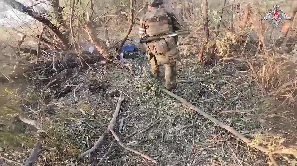 ����� ������ ������ 7-�� ������� ��� � ������ ���� �������� �� ����������� �����������