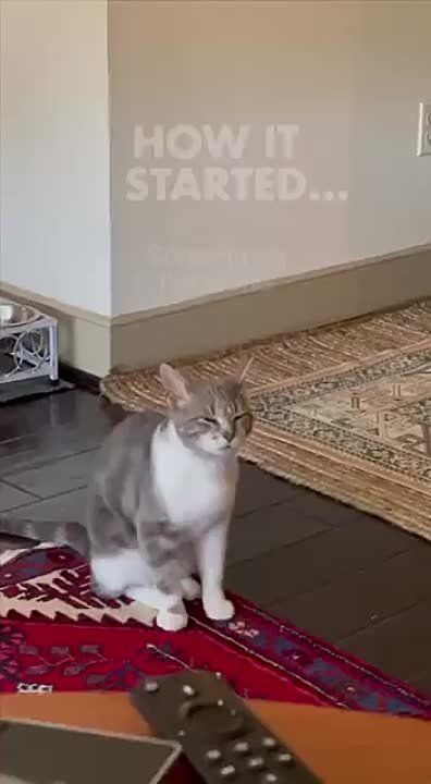 #����������. ����� ����� � ������. � ������ ���������� ������� ���������� ��� � ��������� ���� ���������