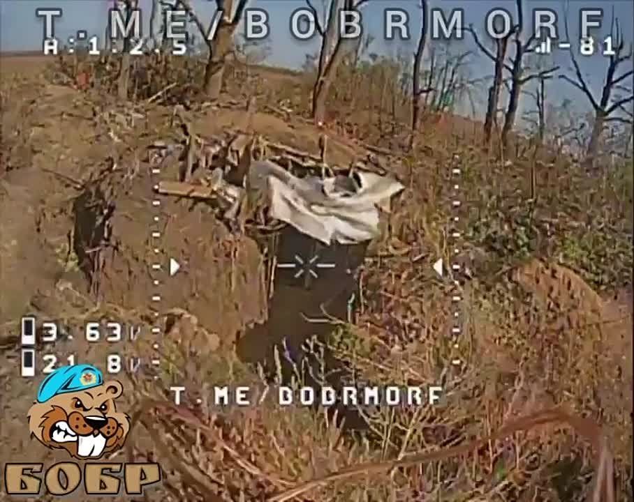 ���� �������� FPV-������ �� @BOBRMORF ����� � ���������� �������� �� ����������� �����������