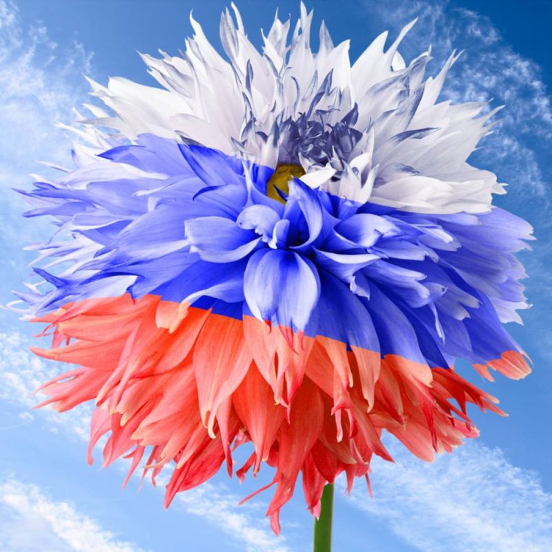 ������� ������: ������� ��� ������ �������� ���� �� ����� ������ ���������� � ����� ������� �� ��� � ���� �������!