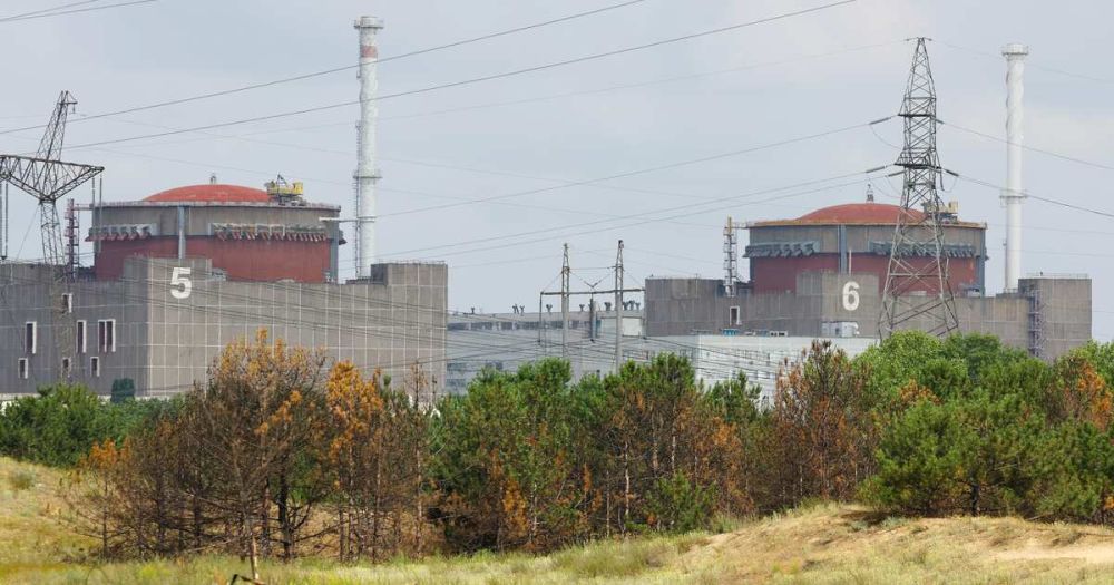 Лихачев: Россия в 2024 году будет искать возможность запустить ЗАЭС