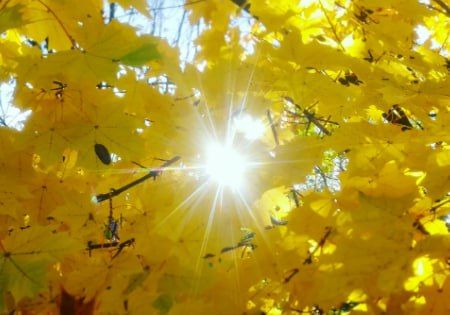 ������� ������ ��������������, ���������� � �����������, � ������ ����������� �����! � ������� ������ ��������� �������� ���!