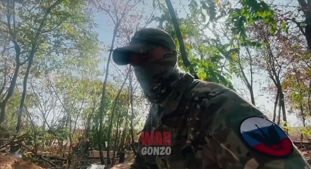 WarGonzo: �������� �������������� ��� ���� ������ ����