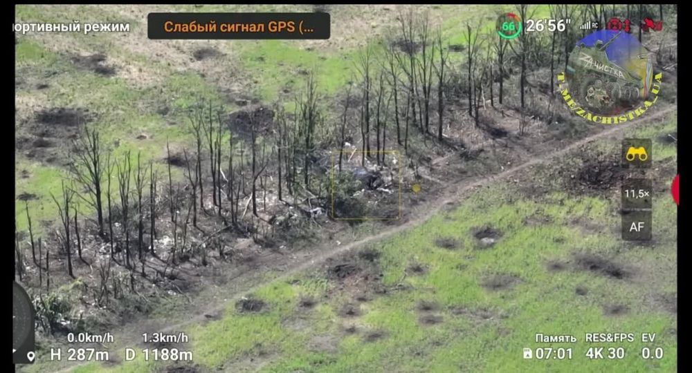 ����� �����: �� ����������� ����������� ���� ������ ������� ������� ����������