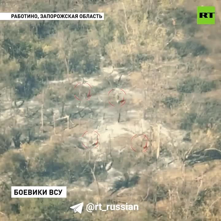 Евгений Лисицын: Наши бойцы из 42-й мотострелковой дивизии пресекли попытку укронацистов обойти Вербовое на Запорожской фронте