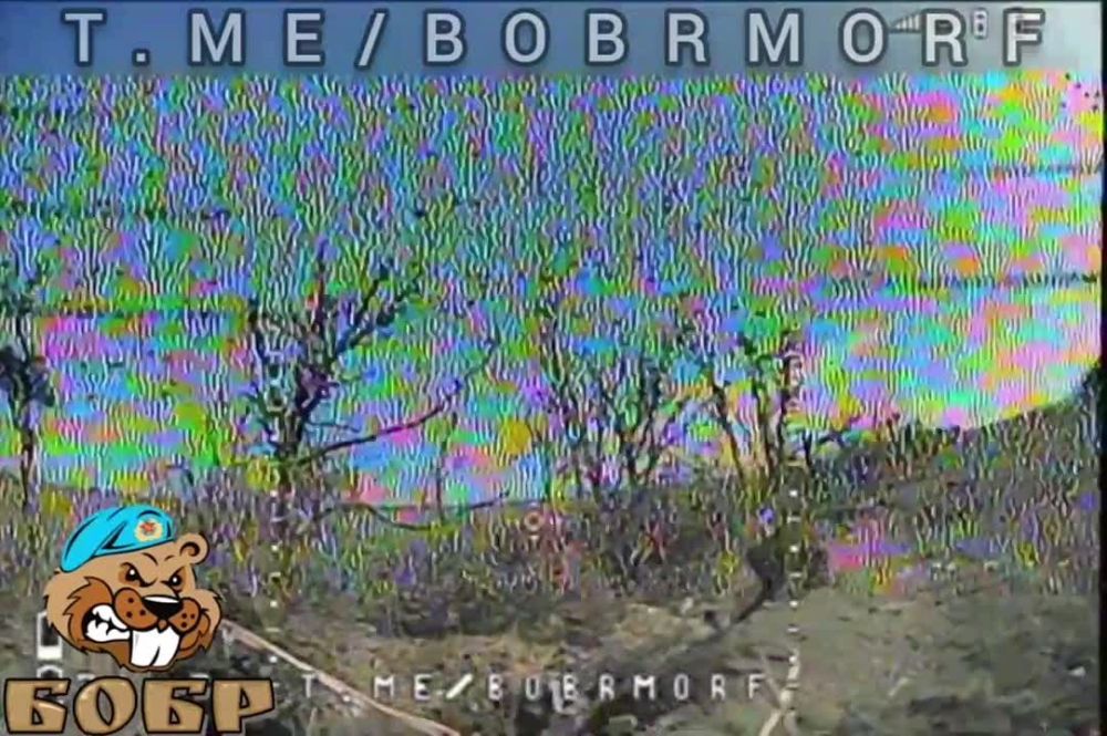 ����� ��������� FPV-����� � ������� ��� �� ����������� �����������