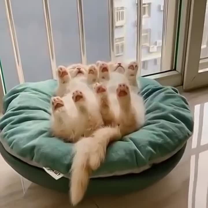 ������ ����, ������� ������!