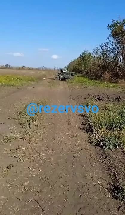 ����������� �����������, ����� ��������